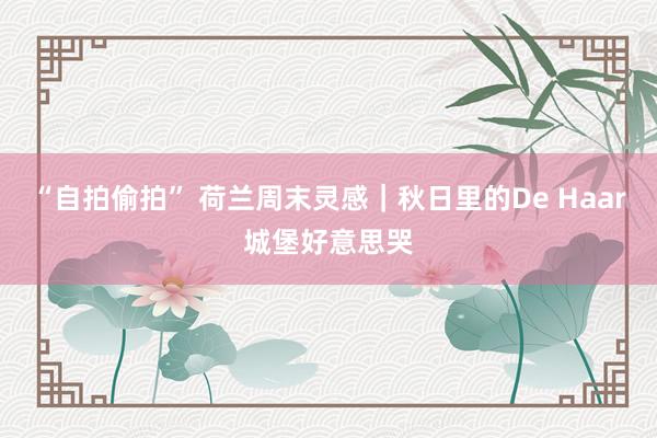 “自拍偷拍” 荷兰周末灵感|秋日里的De Haar城堡好意思哭